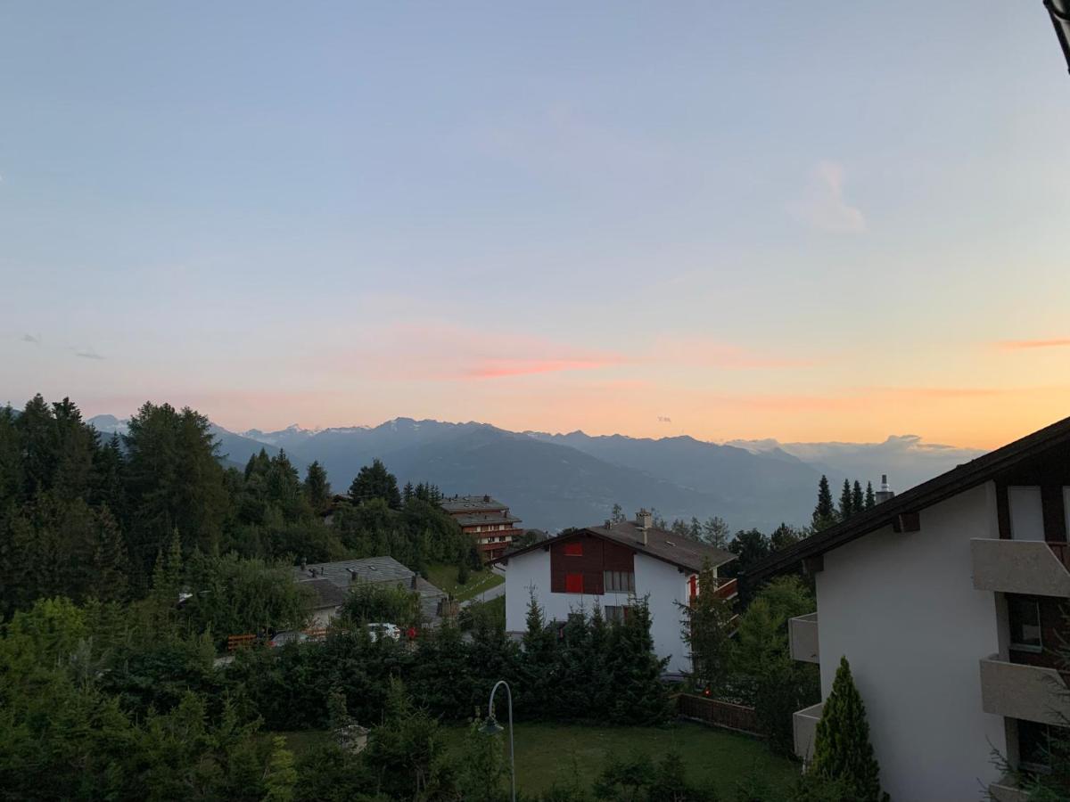 La Jacinthe De Crans Appartement Buitenkant foto