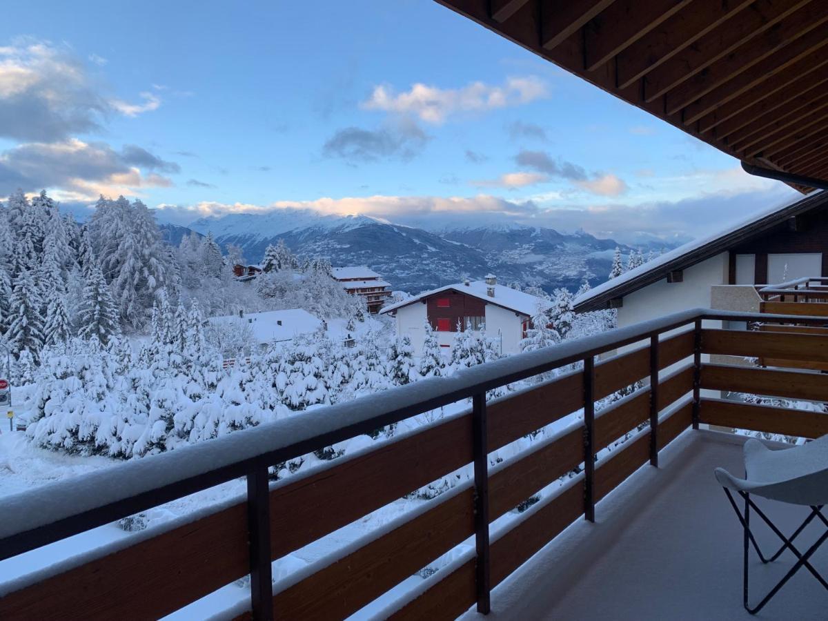 La Jacinthe De Crans Appartement Buitenkant foto