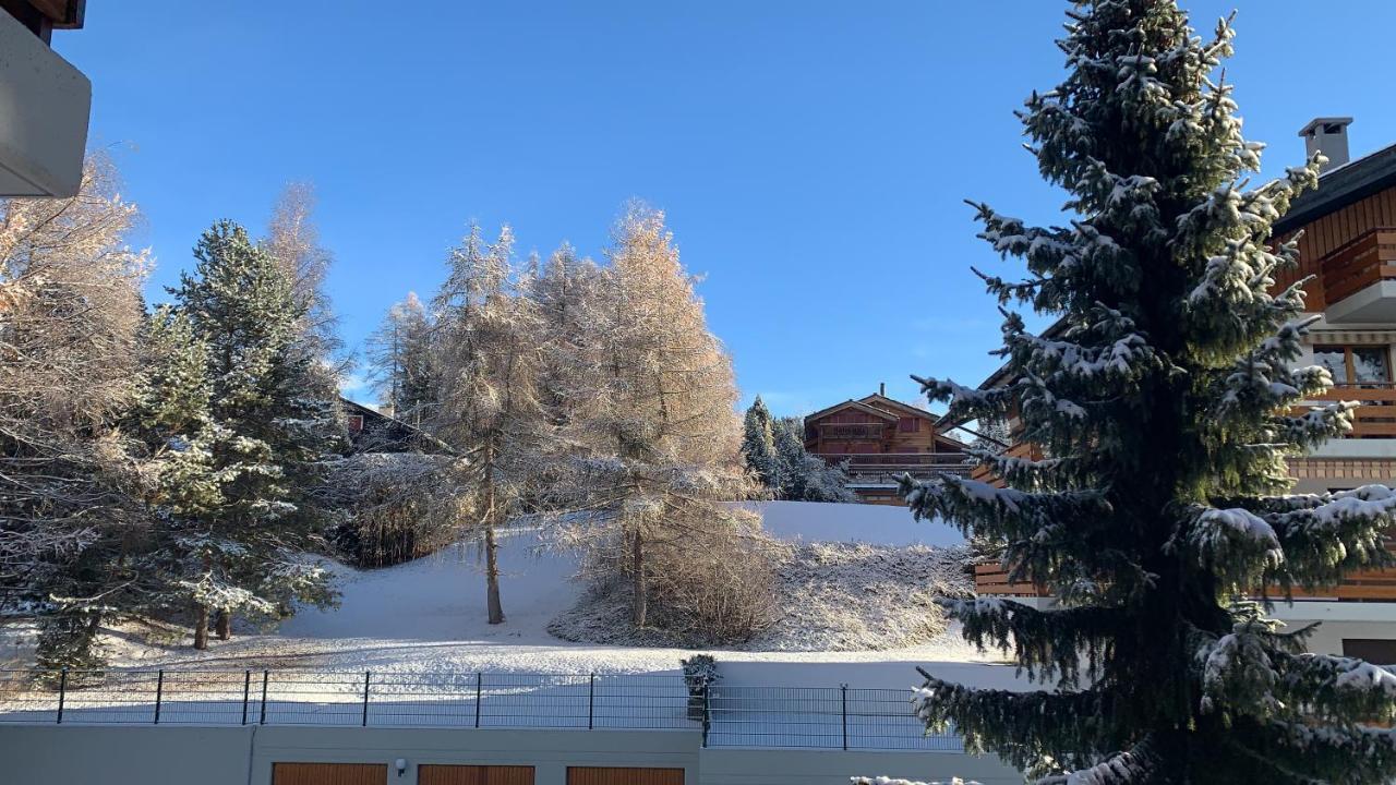 La Jacinthe De Crans Appartement Buitenkant foto
